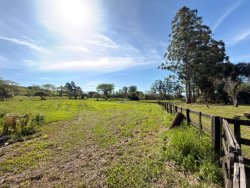 Sítio com 6,00 hectares no bairro Lomba Grande 