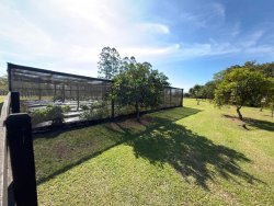 Sítio com 6,00 hectares no bairro Lomba Grande 
