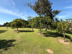 Sítio com 6,00 hectares no bairro Lomba Grande 