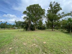 Sítio com 1,0 hectare no bairro Lomba Grande 