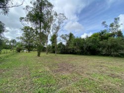 Sítio com 1,0 hectare no bairro Lomba Grande 