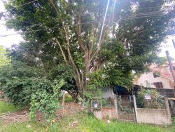 Terreno de 429m² com construção no bairro Jardim Mauá 