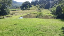 Sítio em Picada Verão 