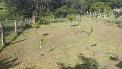 Sítio em Picada Verão 