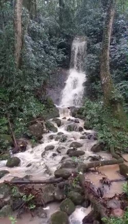 Sítio em Picada Verão 