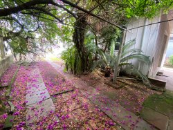 02 terrenos com 435,6m² no bairro Rio Branco 