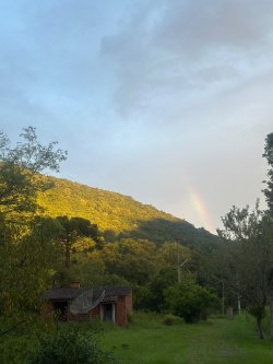 Sítio com 27 hectares e casa rústica em Rolante 