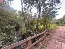 Sítio com 27 hectares e casa rústica em Rolante 