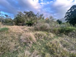 Sítio com 27 hectares e casa rústica em Rolante 