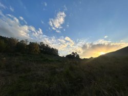 Sítio com 27 hectares e casa rústica em Rolante 