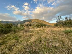 Sítio com 27 hectares e casa rústica em Rolante 
