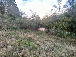 Sítio com 27 hectares e casa rústica em Rolante 