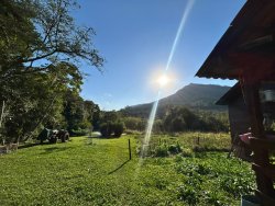 Sítio com 27 hectares e casa rústica em Rolante 