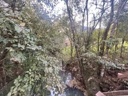 Sítio com 27 hectares e casa rústica em Rolante 