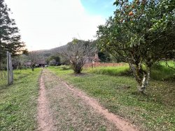 Sítio com 27 hectares e casa rústica em Rolante 