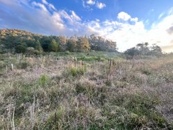 Sítio com 27 hectares e casa rústica em Rolante 