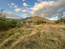 Sítio com 27 hectares e casa rústica em Rolante 