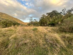 Sítio com 27 hectares e casa rústica em Rolante 