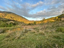 Sítio com 27 hectares e casa rústica em Rolante 