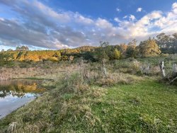 Sítio com 27 hectares e casa rústica em Rolante 