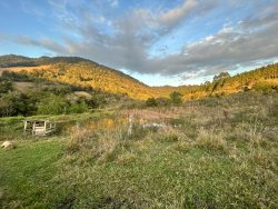 Sítio com 27 hectares e casa rústica em Rolante 