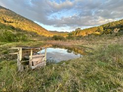Sítio com 27 hectares e casa rústica em Rolante 