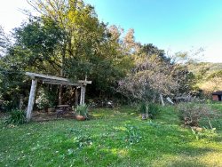 Sítio com 27 hectares e casa rústica em Rolante 