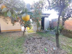 Casa com terreno de 940m² no bairro Canudos 