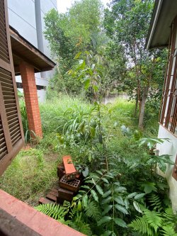 Casa com 04 dormitórios no bairro Rio Branco 