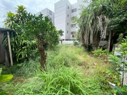 Casa com 04 dormitórios no bairro Rio Branco 