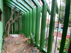 Casa com 04 dormitórios, sendo 01 suíte para locação no bairro Ideal 
