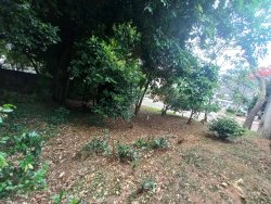 Terreno com 429m² no bairro Jardim Mauá  
