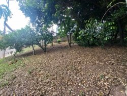 Terreno com 429m² no bairro Jardim Mauá  