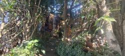 Terreno de esquina com construção no bairro Santo Afonso 