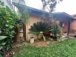 Casa com 03 dormitórios no bairro Santo Afonso 