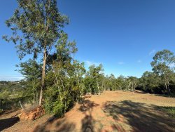 Sítio com 7.364,95m² no bairro Lomba Grande 