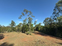 Sítio com 7.364,95m² no bairro Lomba Grande 