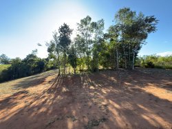 Sítio com 7.364,95m² no bairro Lomba Grande 
