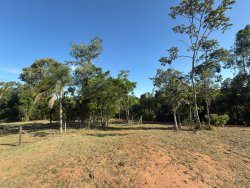 Sítio com 7.364,95m² no bairro Lomba Grande 
