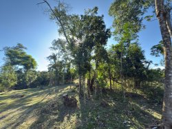 Sítio com 7.364,95m² no bairro Lomba Grande 