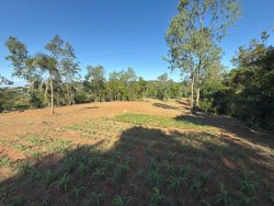 Sítio com 7.364,95m² no bairro Lomba Grande 