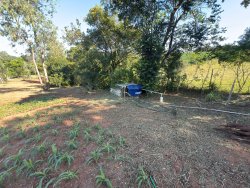 Sítio com 7.364,95m² no bairro Lomba Grande 