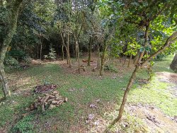 Terreno com 302m² no Loteamento Chácara Hamburguesa 