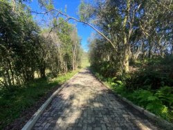 Sítio de 5 hectares na Lomba Grande 