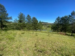 Sítio de 5 hectares na Lomba Grande 