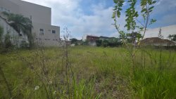 Terreno com 1.277,03m² no Bairro Rio Branco 