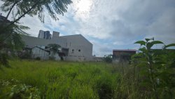 Terreno com 1.277,03m² no Bairro Rio Branco 