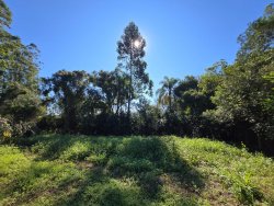 Sítio com 2,0 hectares no bairro Lomba Grande 