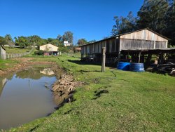 Sítio com 2,0 hectares no bairro Lomba Grande 