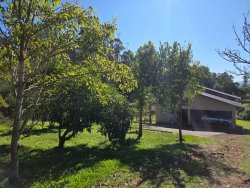 Sítio com 2,0 hectares no bairro Lomba Grande 